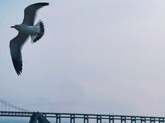 -星海广场