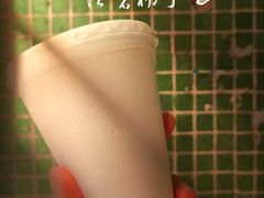 -洪馨椰子