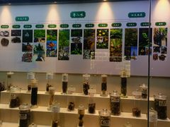 -广东中医药博物馆