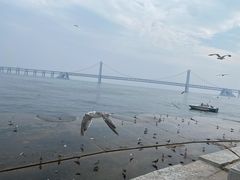 -星海广场