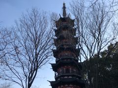 -上海佘山国家森林公园西佘山园