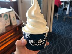 -TIAT DUTY FREE SHOP NORTH(羽田机场店)
