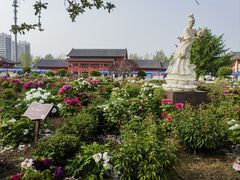 -曹州百花园