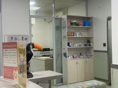 -美美宠物诊疗中心·异宠·骨科(滨江东信分院)
