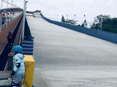 -美的鹭湖探索王国