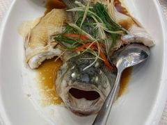 清蒸加州海鲈鱼-香港富临皇宫(扬名广场店)