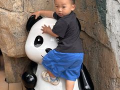 -武汉动物园