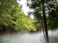 -尚湖风景区