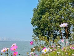 -艾溪湖湿地公园