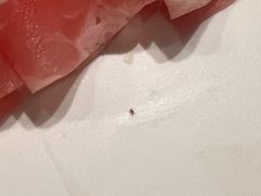 -海底捞火锅(金鼎广场店)