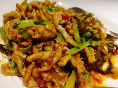 地道鱼香肉丝-眉州东坡(民族园店)