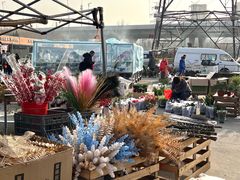-中环花鸟鱼虫市场