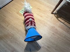 -小时光咖啡馆(开森度假森林店)