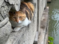 -西园戒幢律寺