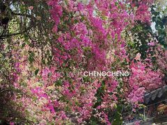 -深圳国际园林花卉博览园