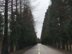 -山王坪喀斯特国家生态公园