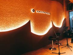 -Ambra Haus琥珀屋精酿餐厅(宝山店)