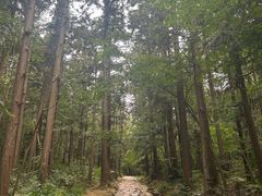 -冶父山国家森林公园