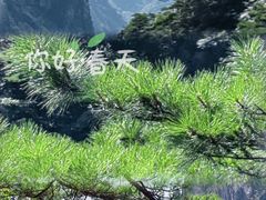 -黄山风景区
