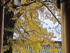 -金堂县云顶石城风景区