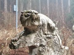 -武陵山森林公园