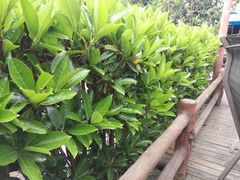 -马帮寨院坝火锅(龙港公园店)