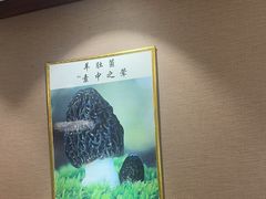-菌之家·专业纯野生菌火锅·特色炒菌