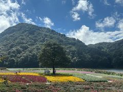 -广州市石门国家森林公园