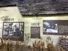 -大丰知青农场