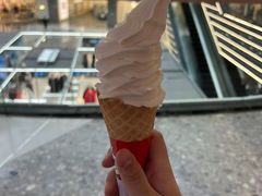 -蜜雪冰城(万达广场店)