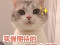 -喵zoo家庭繁育猫舍(尖东智能花园店)