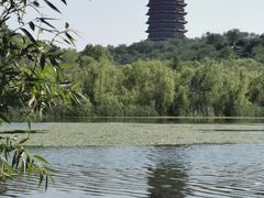 -永定河休闲森林公园