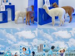 -Blue Concept Cafe&Farm·關於藍