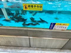 -湛江海滨宾馆-醉海楼