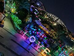 -大信·云顶星河游乐王国