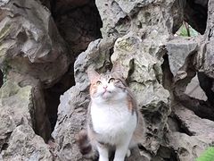 -广州兰圃