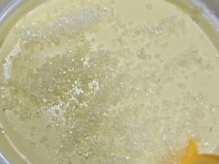 -老字号老马炕锅烤肉城