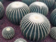 -南通洲际绿博园