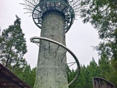 -黄海国家森林公园