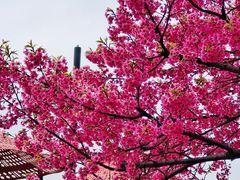 -大宁公园