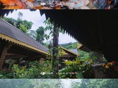 -西双版纳原始森林公园