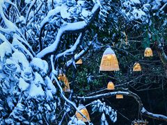 -宁波五龙潭景区