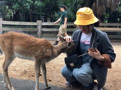 -费瑟代尔野生动物园