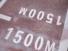 游乐设施-大渡口区义渡公园