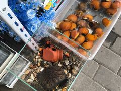 -万商花鸟市场