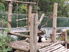 -黔灵山公园