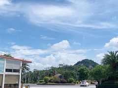 -罗浮山嘉宝田森林温泉度假酒店