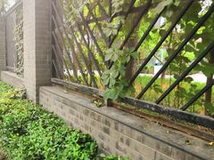 -北京第二实验小学