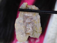 沙虾-官塘锋记鱼生·生腌·砂锅粥(牌坊街店)