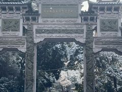 -云碧峰国家森林公园